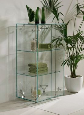 glasvitrine mit zimmerpflanze