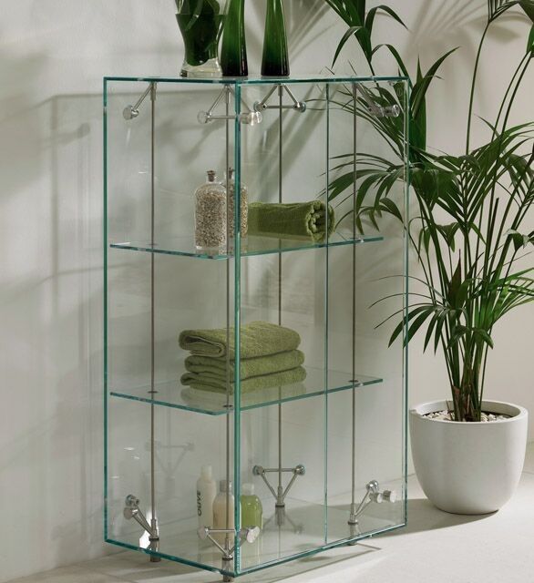 glasvitrine mit zimmerpflanze