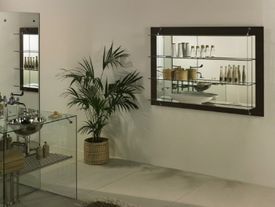 glasvitrine mit verspiegelten elementen